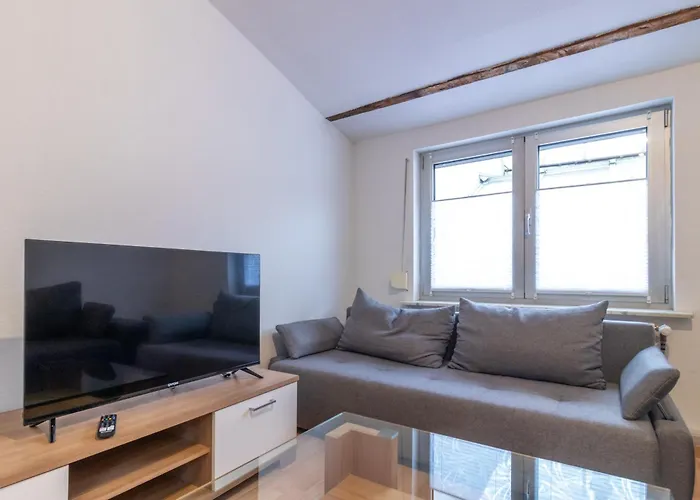 Appartement Zentrale In Bingen Fur Monteure