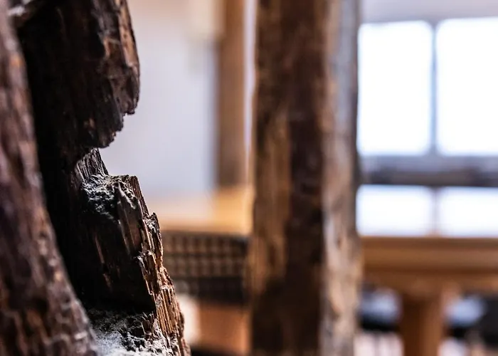 Appartement Zentrale In Bingen Fur Monteure *