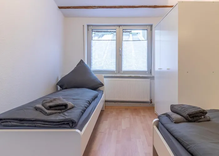 Appartement Zentrale In Bingen Fur Monteure *