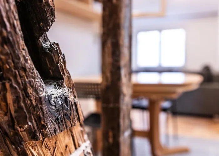 Appartement Zentrale In Bingen Fur Monteure